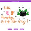 A little pumpkin is on the way svg